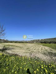 Οικόπεδο 2.000 τ.μ. για πώληση