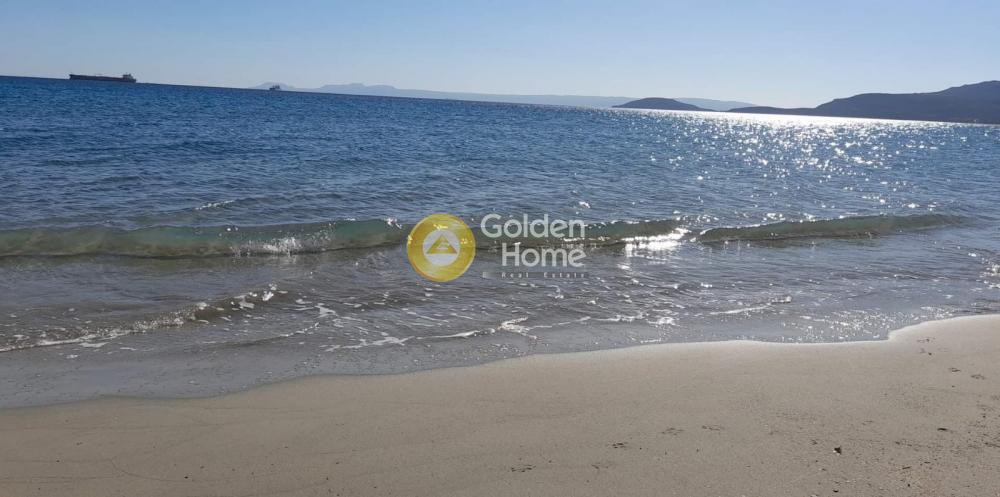 Οικόπεδο 2.216 τ.μ. προς πώληση, Άγιος Γεώργιος Βοιών
