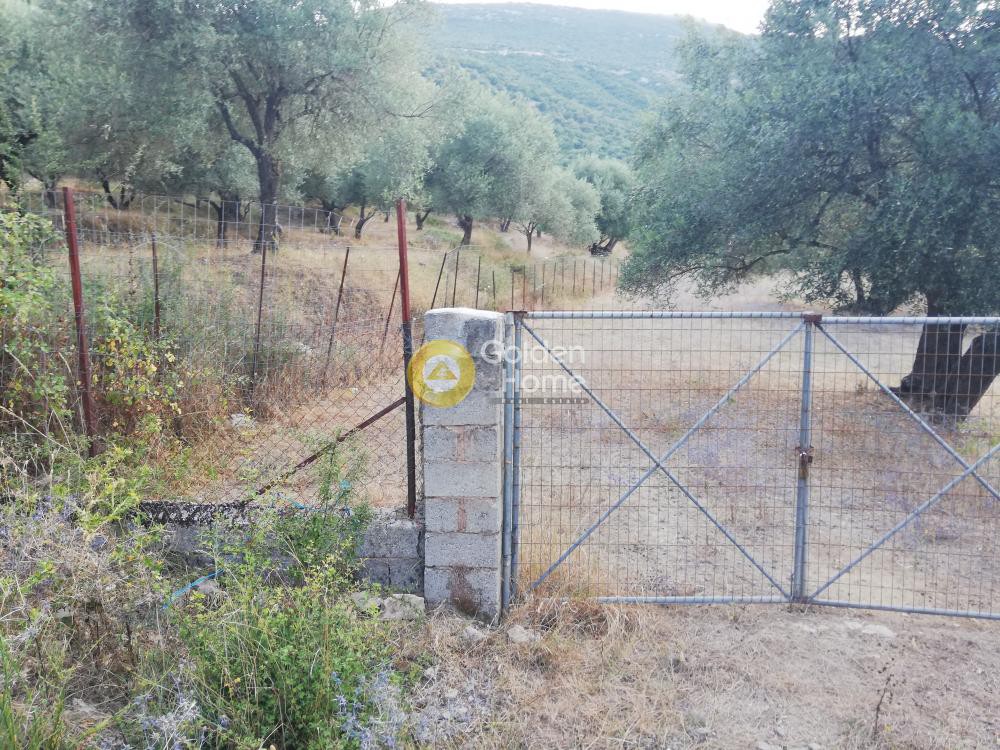 Αγροτεμάχια 9.500 τ.μ. προς πώληση, Πολυνέρι Συβότων