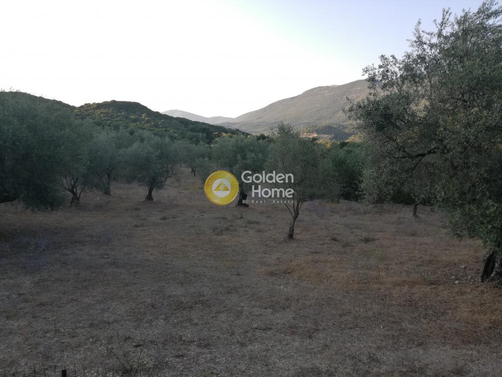 Αγροτεμάχια 9.500 τ.μ. προς πώληση, Πολυνέρι Συβότων