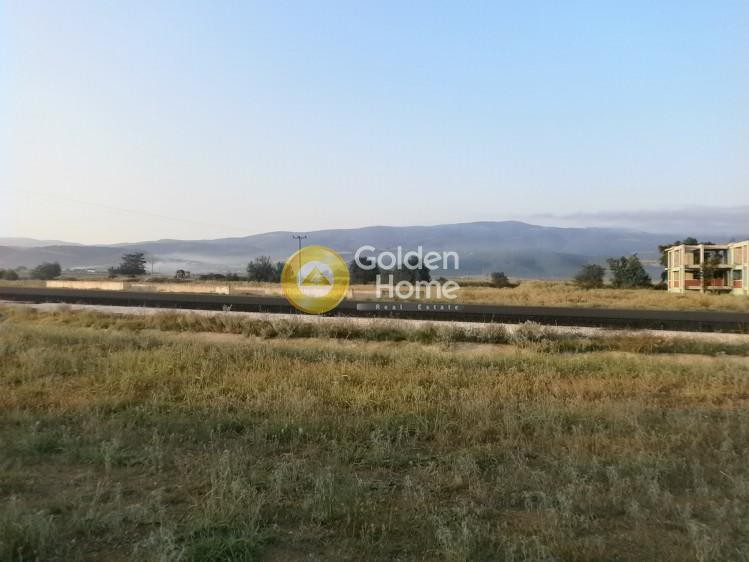Αγροτεμάχια 4.480 τ.μ. προς πώληση, Κέντρο Πολυγύρου