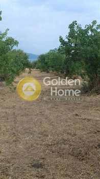 Parcel 3.750 sqm for sale