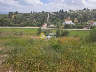 Αγροτεμάχια 10.000 τ.μ. για πώληση