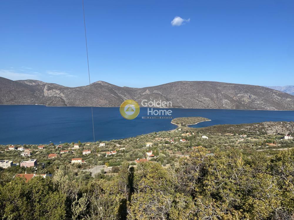 Αγροτεμάχια 1.000 τ.μ. προς πώληση, Σκροπονέρια Ανθηδώνος