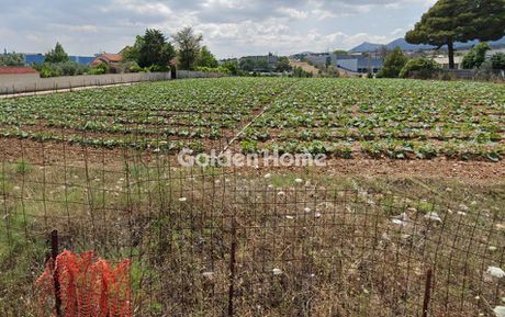 Οικόπεδο 4.000τ.μ. για πώληση-Κρυονέρι » Ζώνη χονδρεμπορίου