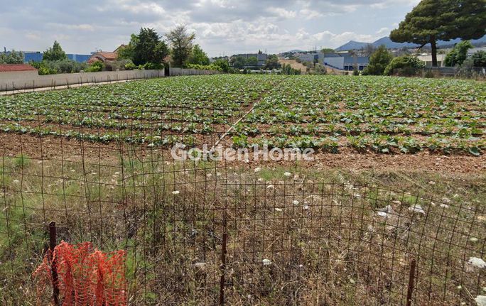 Οικόπεδο 4.000 τ.μ. για πώληση, Αθήνα - Βόρεια Προάστια, Κρυονέρι