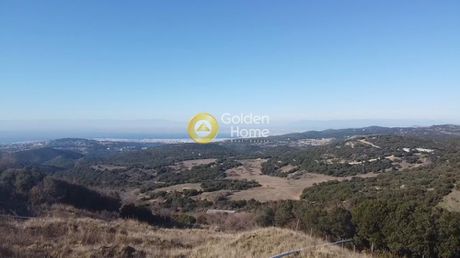 Parcel 12.000 sqm for sale