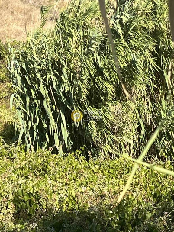 Αγροτεμάχια 1.000 τ.μ. πρός πώληση, Ν. Ρεθύμνου, Γεροπόταμος