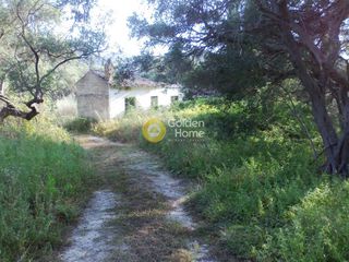 Αγροτεμάχια 7.715 τ.μ. για πώληση
