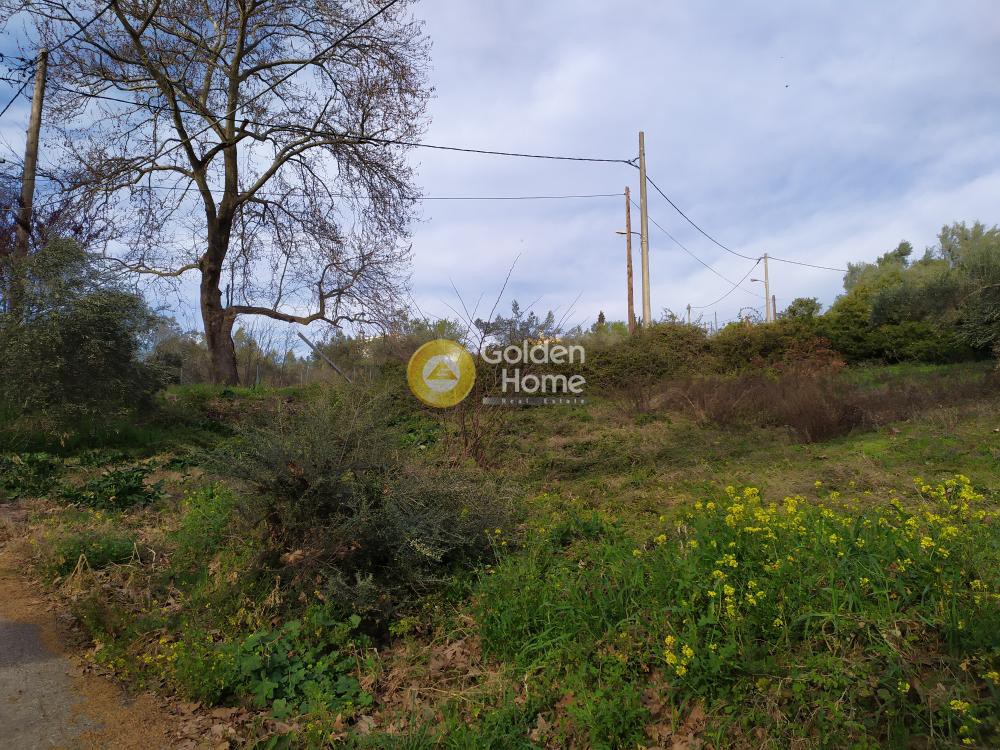Οικόπεδο 1.650 τ.μ. προς πώληση, Πολυδένδρι Αττικής