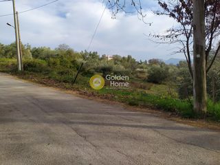 Οικόπεδο 1.650 τ.μ. προς πώληση, Πολυδένδρι Αττικής-thumb-2