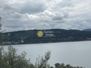 Αγροτεμάχια 5.000 τ.μ. για πώληση