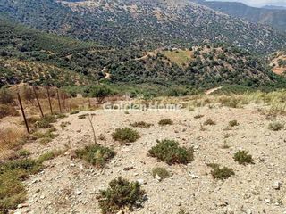 Οικόπεδο 4.015 τ.μ. για πώληση