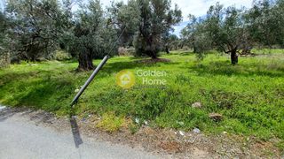Αγροτεμάχια 1.758 τ.μ. για πώληση