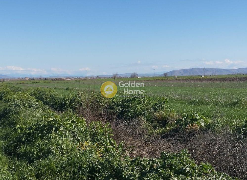 Αγροτεμάχια 9.875 τ.μ. για πώληση, Ν. Καρδίτσας, Σοφάδες