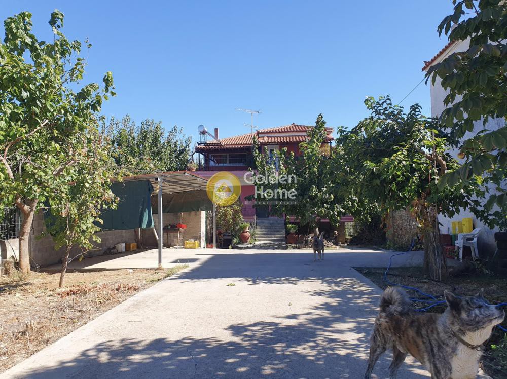 Διαμέρισμα 104 τ.μ. προς πώληση, Δάφνιο