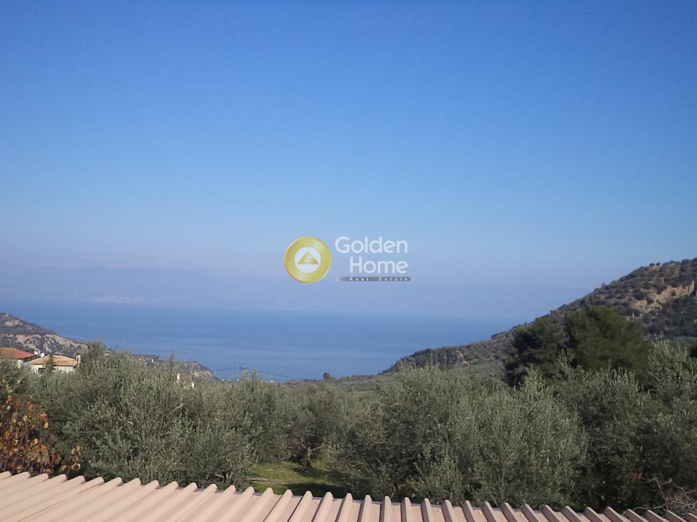Οικόπεδο 483 τ.μ. προς πώληση, Εβροστίνα