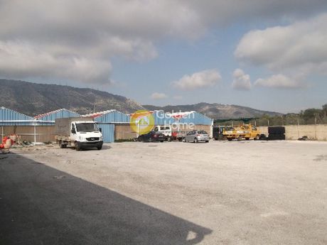 Οικόπεδο 8.000 τ.μ. για πώληση