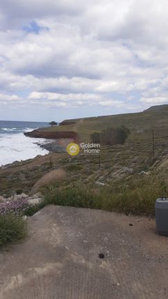 Αγροτεμάχια 2.000 τ.μ. για πώληση, Ν. Λασιθίου, Νεάπολη