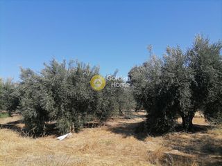 Οικόπεδο 2.940 τ.μ. για πώληση