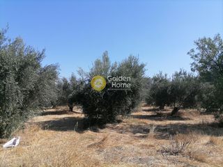 Οικόπεδο 2.940 τ.μ. προς πώληση, Σίβας-thumb-2