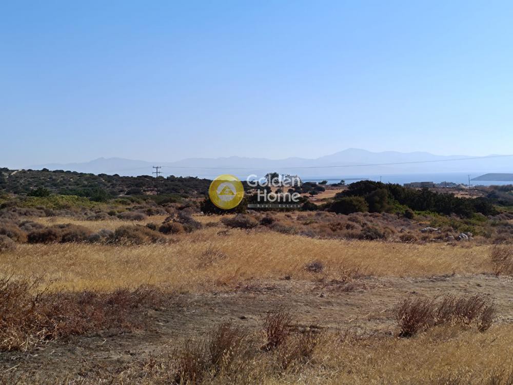 Αγροτεμάχια 4.456 τ.μ. προς πώληση, Γλύφα Πάρου