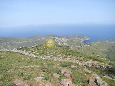 Αγροτεμάχια 4.000 τ.μ. για πώληση