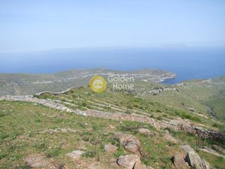 Αγροτεμάχια 4.000 τ.μ. για πώληση