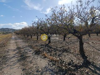 Οικόπεδο 530 τ.μ. για πώληση