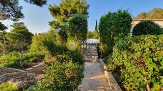 Συγκρότημα διαμερισμάτων 600 τ.μ. για πώληση, Αργολίδα, Κρανίδι-thumb-16