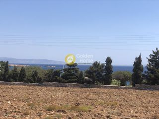 Αγροτεμάχια 6.727 τ.μ. για πώληση