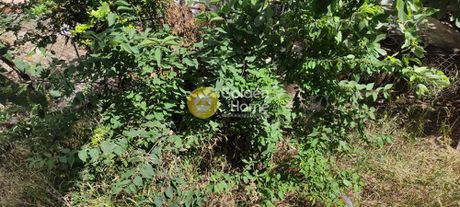 Οικόπεδο 280τ.μ. για πώληση-Μελίσσια » Όριο βριλησσίων