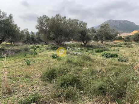 Οικόπεδο 900τ.μ. για πώληση-Νέα μάκρη » Κέντρο