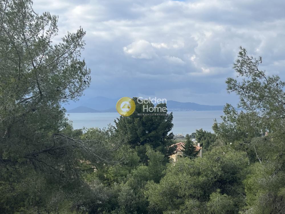 Μονοκατοικία 200 τ.μ. προς πώληση, Θεολόγος Μαλεσίνας