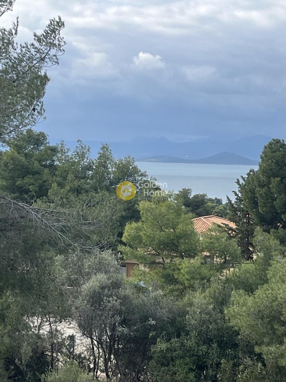 Μονοκατοικία 200 τ.μ. προς πώληση, Θεολόγος Μαλεσίνας