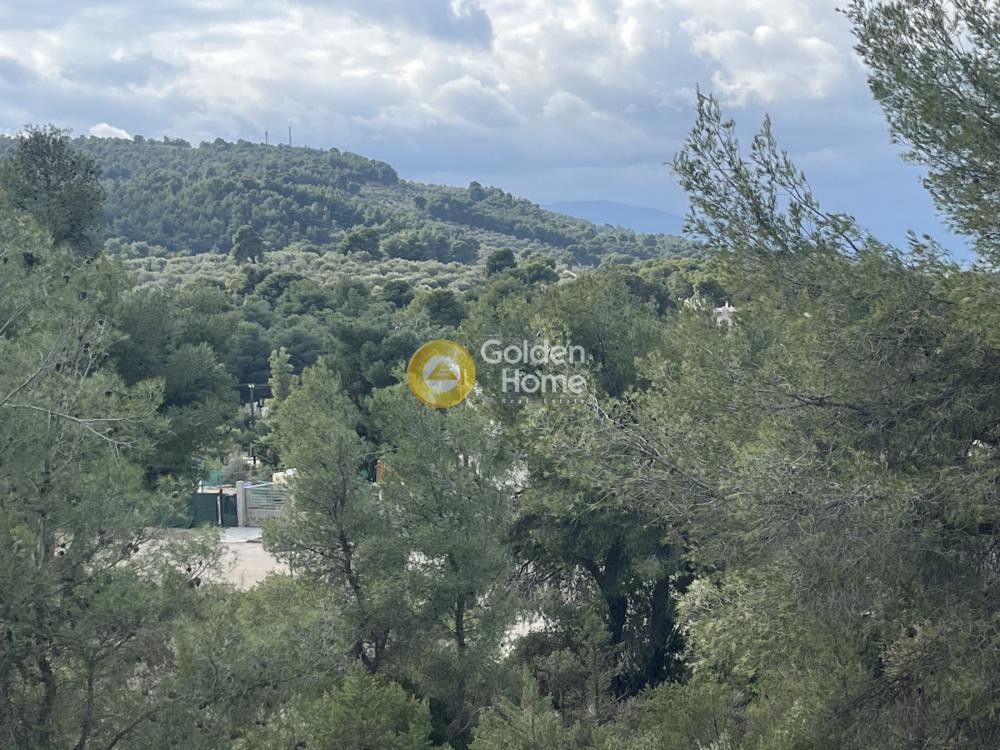 Μονοκατοικία 200 τ.μ. προς πώληση, Θεολόγος Μαλεσίνας