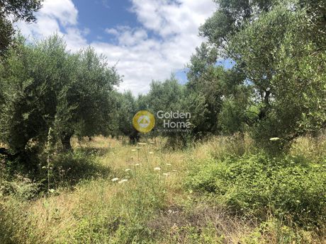 Land plot 502sqm for sale-Kalamata » Sperchogeia