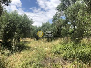 Οικόπεδο 502 τ.μ. για πώληση