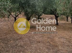 Parcel 8.200sqm for sale-Itanos » Palaikastro