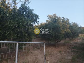 Οικόπεδο 6.036 τ.μ. για πώληση, Ν. Ρεθύμνου, Αρκάδι-thumb-20
