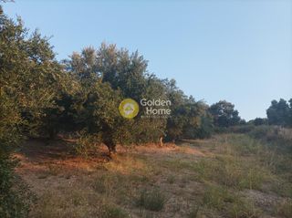 Οικόπεδο 6.036 τ.μ. για πώληση, Ν. Ρεθύμνου, Αρκάδι-thumb-5