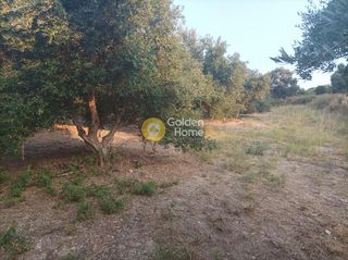 Οικόπεδο 6.036 τ.μ. για πώληση, Ν. Ρεθύμνου, Αρκάδι-thumb-12