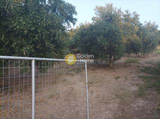 Οικόπεδο 6.036 τ.μ. για πώληση, Ν. Ρεθύμνου, Αρκάδι-thumb-16