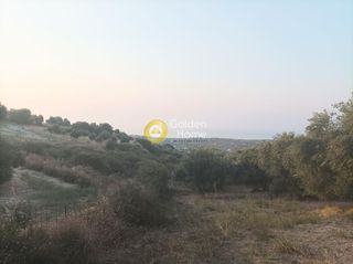 Οικόπεδο 6.036 τ.μ. για πώληση, Ν. Ρεθύμνου, Αρκάδι-thumb-9