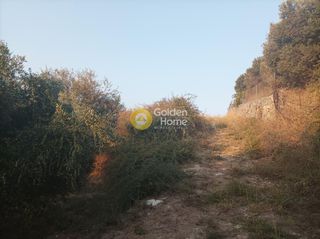 Οικόπεδο 6.036 τ.μ. για πώληση, Ν. Ρεθύμνου, Αρκάδι-thumb-18