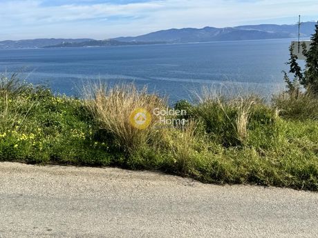 Οικόπεδο 1.100τ.μ. για πώληση-Μαραθώνας » Δικαστικά