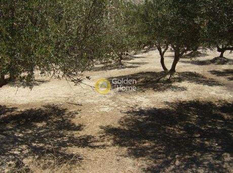 Αγροτεμάχια 1.600τ.μ. για πώληση-Ηράκλειο κρήτης » Μαραθίτης