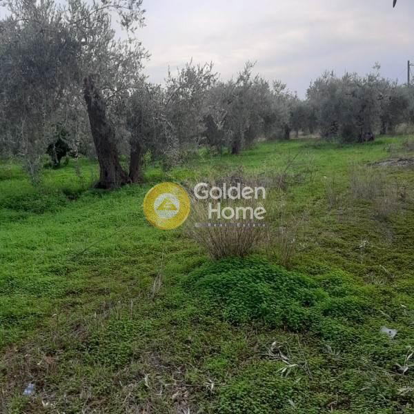 Αγροτεμάχια 2.937 τ.μ. προς πώληση, Οικονομιάνικα