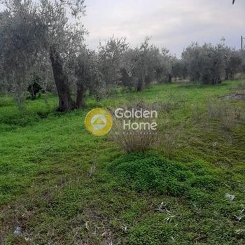 Αγροτεμάχια 2.937τ.μ. για πώληση-Βοϊων » Οικονομιάνικα