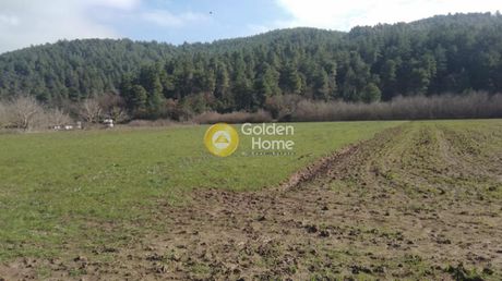 Parcel 10.000sqm for sale-Kirea » Mantoudi